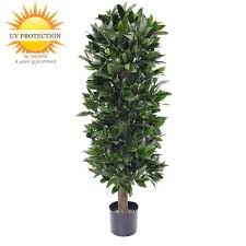 Artificial Laurel Trees